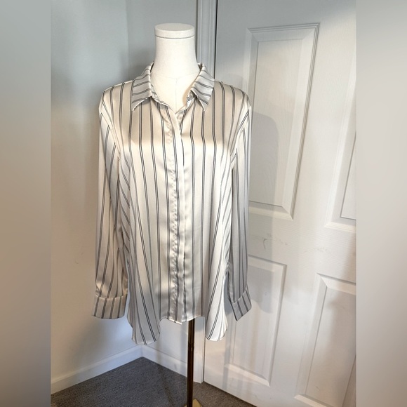 Striped Button-Up Blouse - Picture 1 of 13